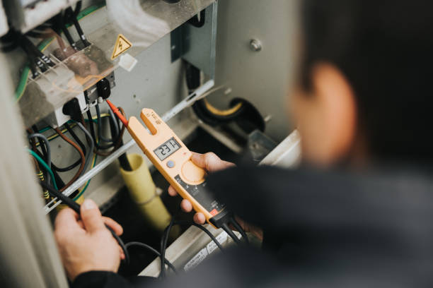 Best Electric Panel Repair  in Wyandotte, MI