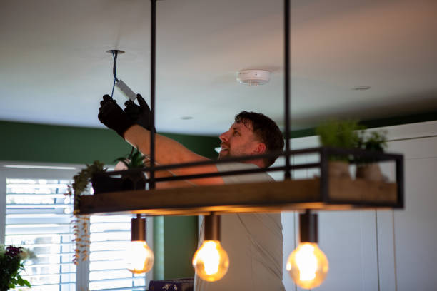 Best Industrial Electrical Services  in Wyandotte, MI